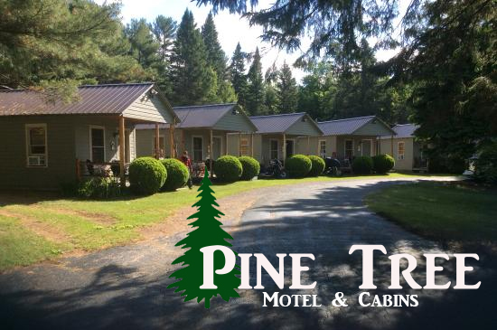 Pine Tree Motel & Cabins Pine Tree Motel & Cabins